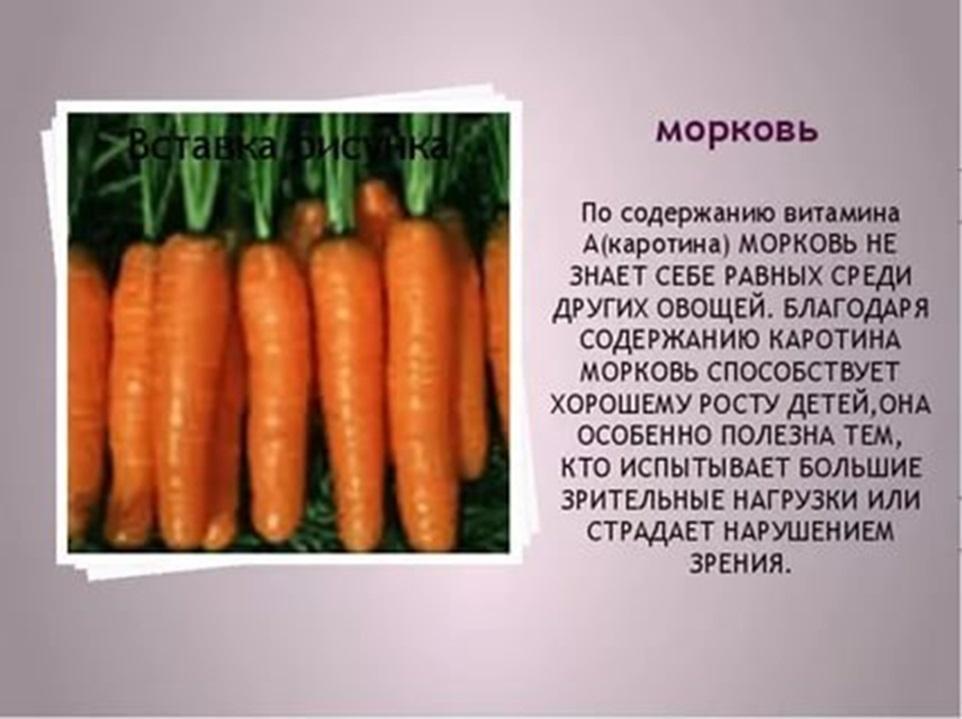 Овощи для улучшения работы мозга